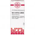 APIS MELLIFICA LM XXX Dilution
