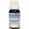 APISINUM Q 21 Lösung