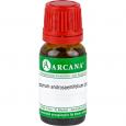 APOCYNUM ANDROSAEMIFOLIUM LM 5 Dilution