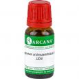 APOCYNUM ANDROSAEMIFOLIUM LM 75 Dilution