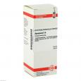 APOCYNUM D 6 Dilution