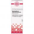 APOMORPHINUM HYDROCHLORICUM D 12 Dilution
