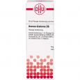 ARANEA DIADEMA D 6 Dilution
