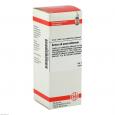 ARNICA EXTERN Tinktur