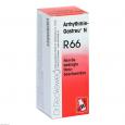 ARRHYTHMIE-Gastreu N R66 Mischung