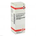 ARSENICUM ALBUM D 8 Dilution