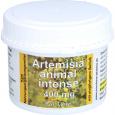 ARTEMISIA ANIMAL intense 400 mg Kapseln vet.