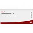 ARTERIA BRACHIALIS GL D 12 Ampullen