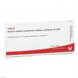 ARTERIA CAROTIS COMMUNIS et sin.carot.GL D 30 Amp.