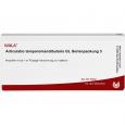 ARTICULATIO temporomandibularis GL Serienp.3 Amp.