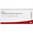 ARTICULATIONES intervertebral.lumb.GL D 12 Amp.
