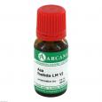 ASA FOETIDA LM 6 Dilution