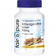 ASHWAGANDHA EXTRAKT 500 mg Kapseln