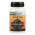 ASHWAGANDHA EXTRAKT Solaray Kapseln