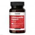 ASHWAGANDHA KAPSELN KSM-66 hochdosiert