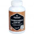 ASHWAGANDHA KSM-66 600mg Extrakt hochdos.veg.Kaps.