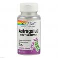 ASTRAGALUS EXTRAKT Solaray Kapseln