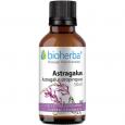 ASTRAGALUS TINKTUR