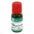 AURUM METALLICUM LM 18 Dilution