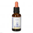 BACHBLÜTEN Aspen Healing Herbs Tropfen