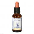 BACHBLÜTEN Centaury Healing Herbs Tropfen