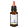 BACHBLÜTEN Cerato Healing Herbs Tropfen