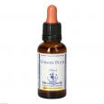 BACHBLÜTEN Cherry Plum Healing Herbs Tropfen