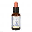 BACHBLÜTEN Chestnut Bud Healing Herbs Tropfen