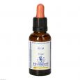 BACHBLÜTEN Elm Healing Herbs Tropfen