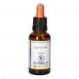 BACHBLÜTEN Gentian Healing Herbs Tropfen