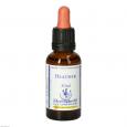 BACHBLÜTEN Heather Healing Herbs Tropfen