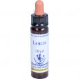 BACHBLÜTEN Larch Healing Herbs Tropfen