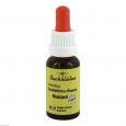BACHBLÜTEN Murnauer Mustard Tropfen