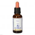 BACHBLÜTEN Pine Healing Herbs Tropfen