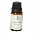 BACHBLÜTEN Red Chestnut Globuli Healing Herbs