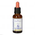 BACHBLÜTEN Red Chestnut Healing Herbs Tropfen