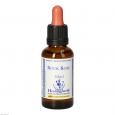 BACHBLÜTEN Rock Rose Healing Herbs Tropfen