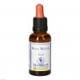 BACHBLÜTEN Rock Water Healing Herbs Tropfen