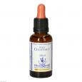 BACHBLÜTEN Sweet Chestnut Healing Herbs Tropfen