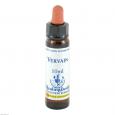 BACHBLÜTEN Vervain Healing Herbs Tropfen