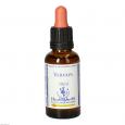 BACHBLÜTEN Vervain Healing Herbs Tropfen