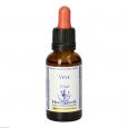 BACHBLÜTEN Vine Healing Herbs Tropfen