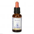 BACHBLÜTEN Walnut Healing Herbs Tropfen