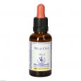 BACHBLÜTEN Wild Oat Healing Herbs Tropfen