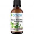 BACOPA Monnieri Tinktur