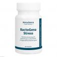 BACTOGENA Stress Bakterienmischung+Vitamin B2 Kps.