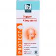 BADERS Protect Gum Ingwer
