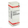 BAPTISIA D 6 Dilution