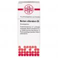 BARIUM CHLORATUM C 6 Globuli Ind.Fert.