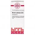 BARIUM JODATUM D 10 Globuli Ind.Fert.